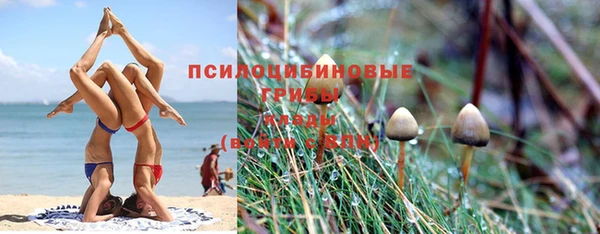 дистиллят марихуана Белокуриха
