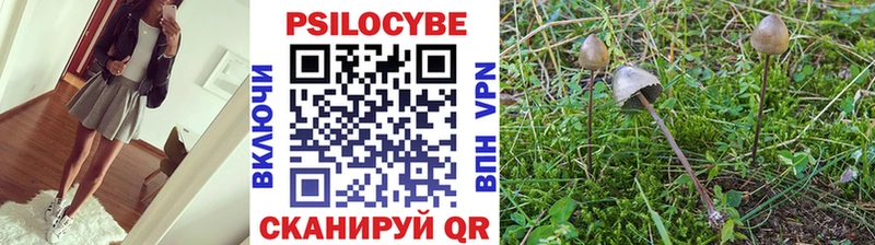 Галлюциногенные грибы MAGIC MUSHROOMS  как найти закладки  omg ONION  Назарово 